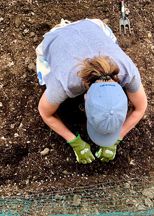 A woman gardening face obscured by a ball cap as the picture is taken from above.